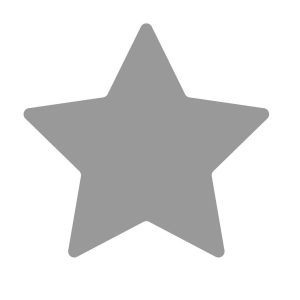 Isolated gray and black star icon, ranking mark. Modern simple favorite sign, decoration symbol for website design, web button, mobile app.